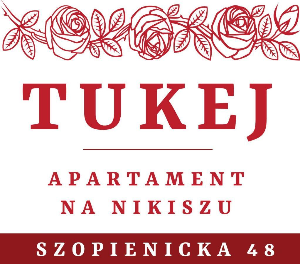 Tukej Apartament Na Nikiszu Lejlighed Katowice Eksteriør billede